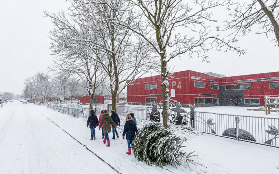Inleveren kerstbomen