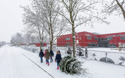 Inleveren kerstbomen