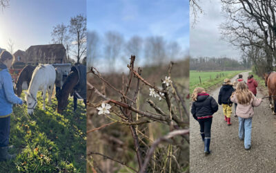Krokusvakantie bij Paard & Potlood