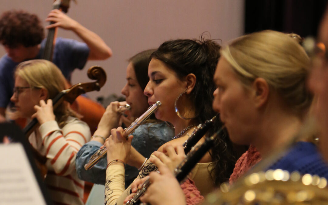 Vuurvogel Sinfonietta brengt Elgar, Schumann en Schubert in de Hanzehof