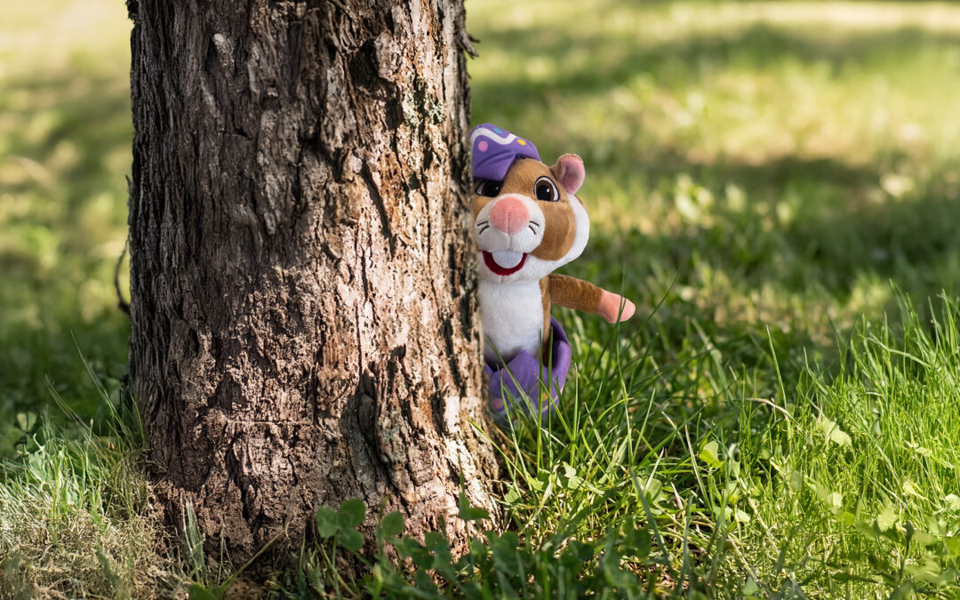 AH Paashamster verstopt zich deze week in de Zuidwijken van Zutphen